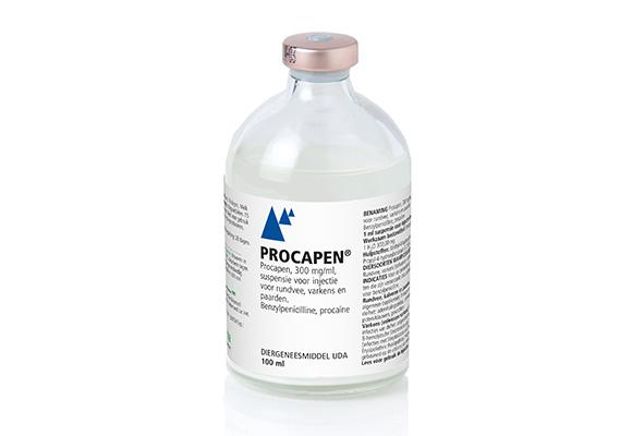 Procapen 300 mg/ml suspensie voor injectie voor runderen, varkens en paarden