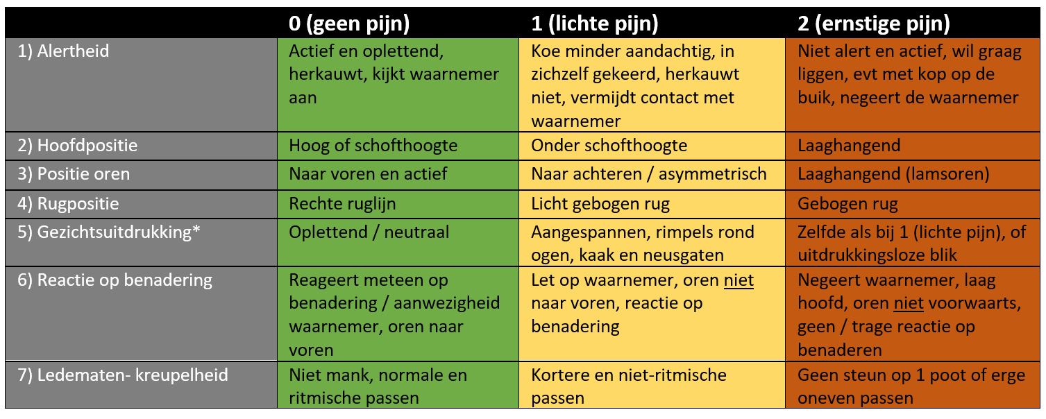 Pijnscore Bij Rundvee En Pijnmanagement Bij Mastitis 