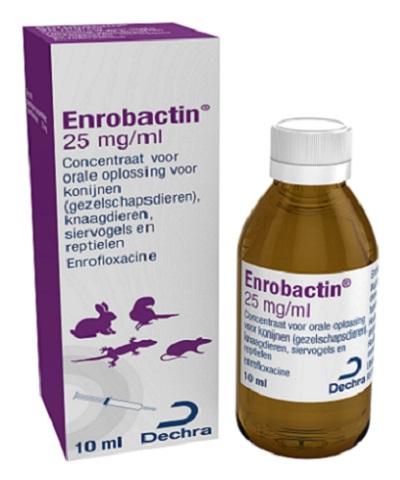 Enrobactin 25 mg/ml concentraat voor orale oplossing 