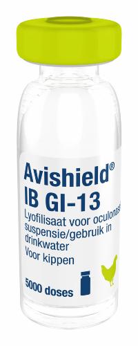Avishield IB GI-13, lyofilisaat voor oculonasale suspensie/gebruik in drinkwater voor kippen