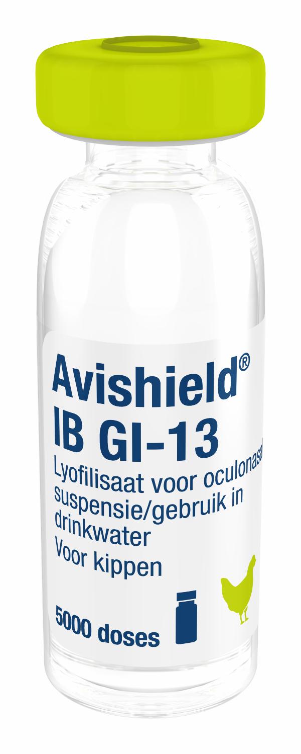 Avishield IB GI-13, lyofilisaat voor oculonasale suspensie/gebruik in drinkwater voor kippen