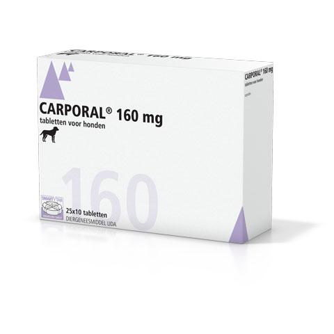 Carporal 160 mg tabletten 