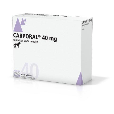 Carporal 40 mg tabletten 