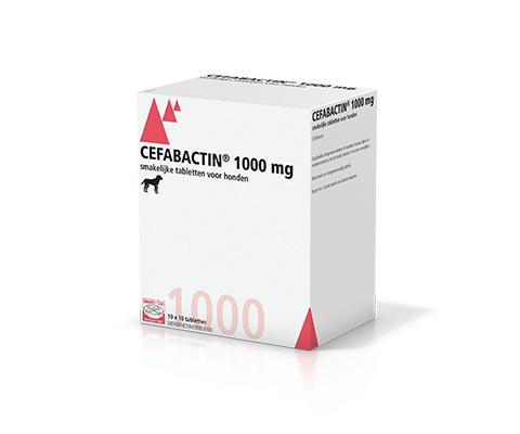 Cefabactin 1.000 mg voor honden