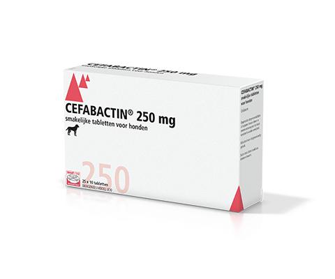 Cefabactin 250 mg voor honden