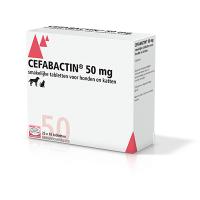 Cefabactin 50 mg voor honden en katten