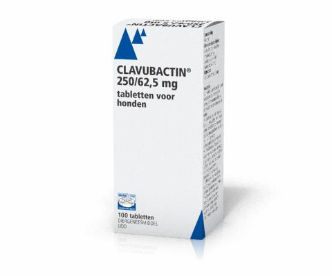 Clavubactin 250/62,5mg