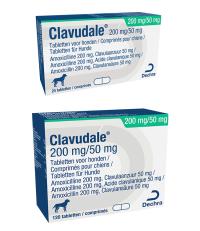 Clavudale 200/50 mg tablet voor honden