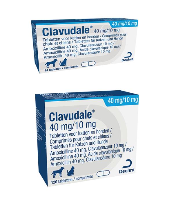 Clavudale 40/10 mg tablet voor katten en honden