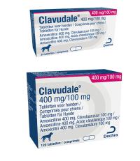 Clavudale 400/100 mg tablet voor honden