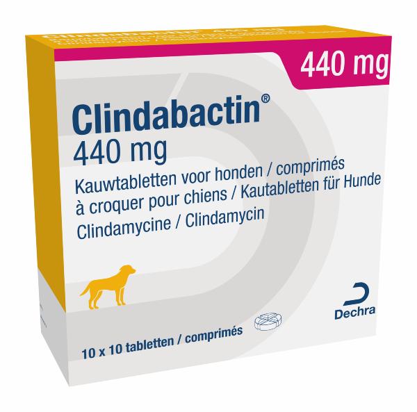 Clindabactin 440 mg tablet