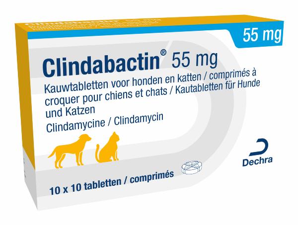 Clindabactin 55 mg tablet