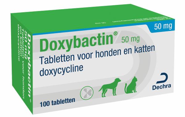 Doxybactin 50 mg tabletten voor honden en katten