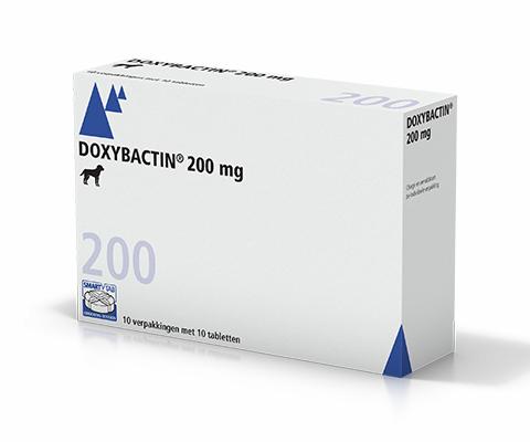 Doxybactin 200mg tabletten voor honden