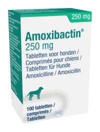 Amoxibactin 250 mg tablet