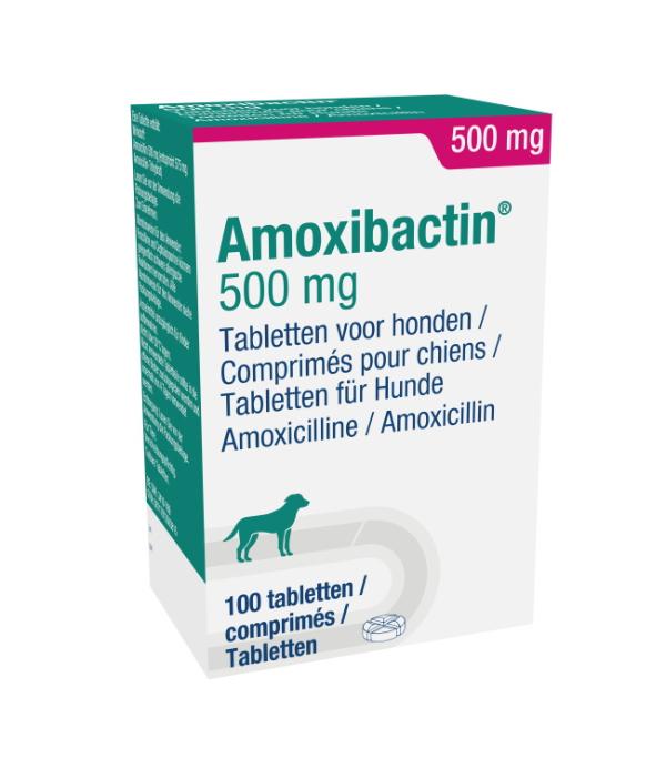 Amoxibactin 500 mg tablet