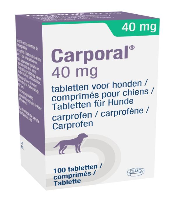 Carporal 40 mg tabletten voor honden