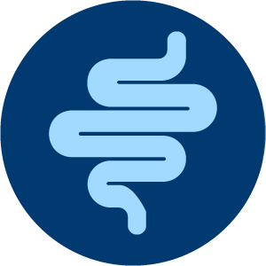 Gut supporting ingredients to support gut-kidney axis -