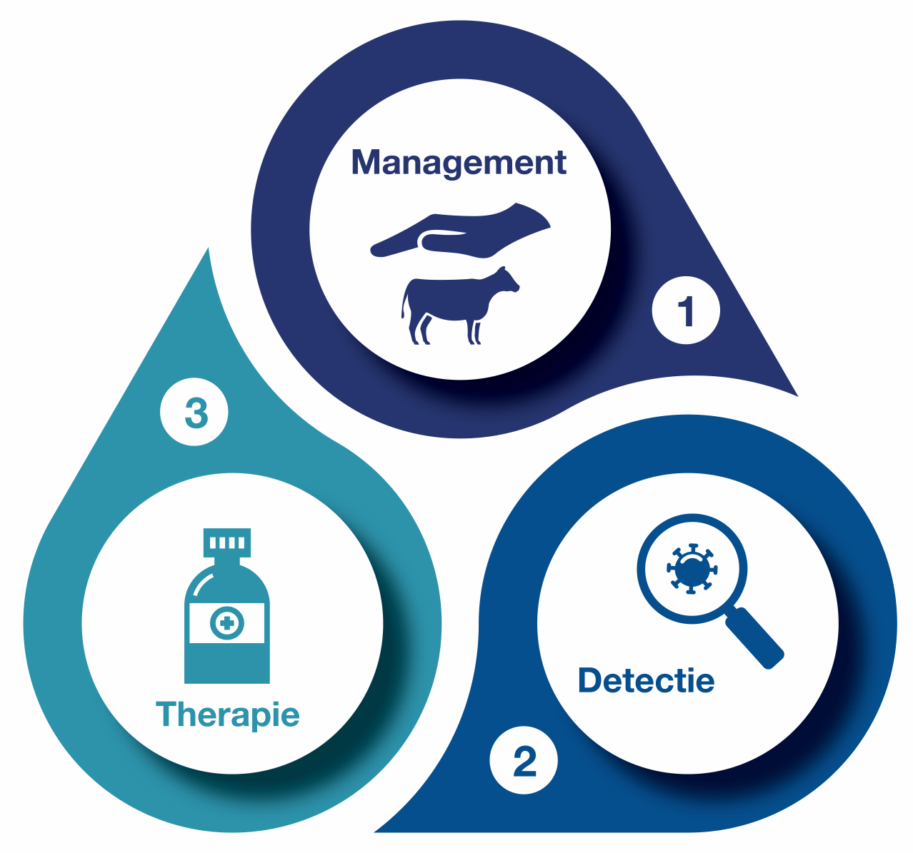 Pain management in Cattle - Dechra's integrated approach