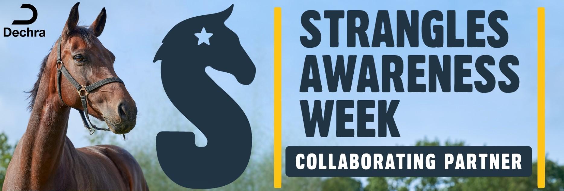 Droes awareness week 2025