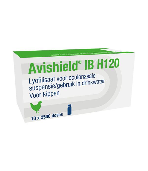 IB H120, lyofilisaat voor oculonasale suspensie/gebruik in drinkwater, voor kippen
