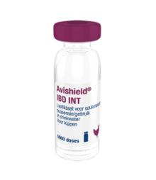 Avishield IBD INT, lyofilisaat voor oculonasale suspensie/gebruik in drinkwater voor kippen