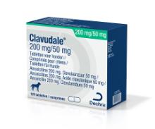 Clavudale 200/50 mg tablet voor honden