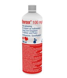 Enrox® 100 mg/ml orale oplossing