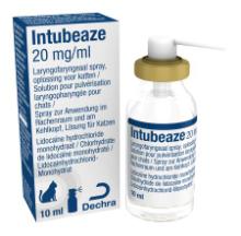 Intubeaze 20 mg/ml laryngofaryngeaal spray, oplossing voor katten